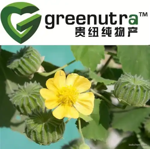 Malva Verticillata Extract powder