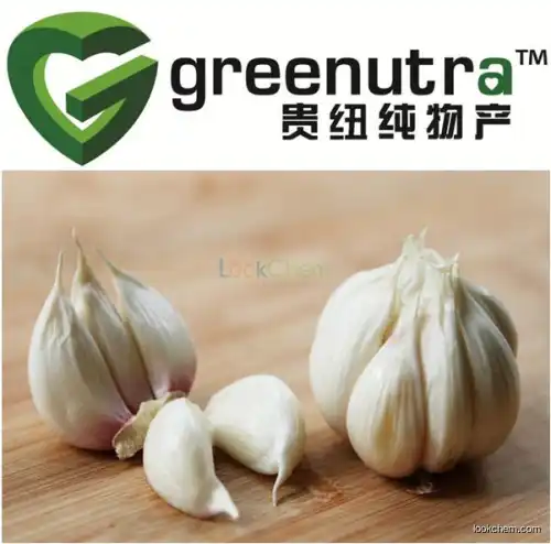 High Quality garlic extract allicin powder