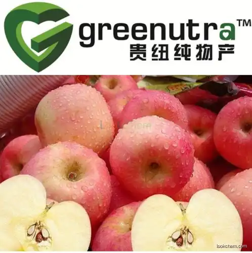 green apple extract powder