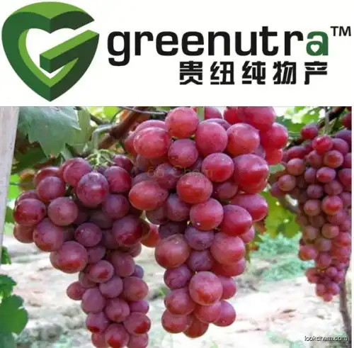 red grape skin extract Powder