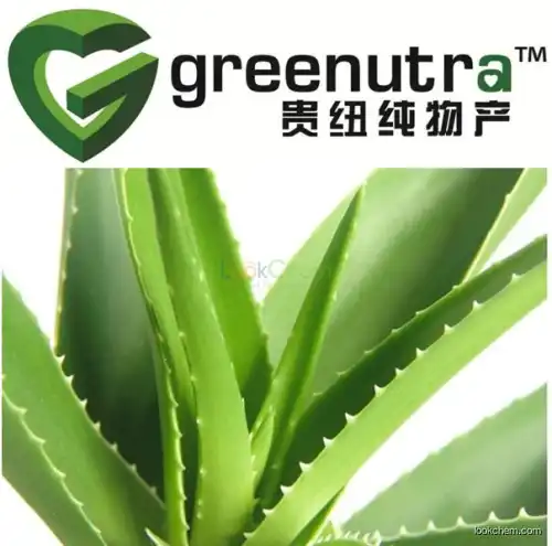 high quality Aloe Vera Extract,hot sell Aloe Vera Extract,GMPManufacturer Aloe Vera Extract