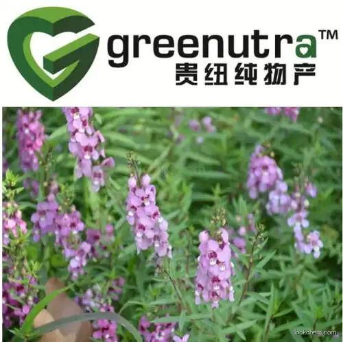 Best Selling salvia officinalis Extract,100% salvia officinalis Extract,Manufacturer Supply salvia officinalis Extract