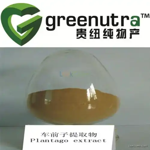 Pure Plantago Psyllium Extract,GMP Manufacturer supply Plantago Psyllium Extract,Dried Plantago Psyllium Extract
