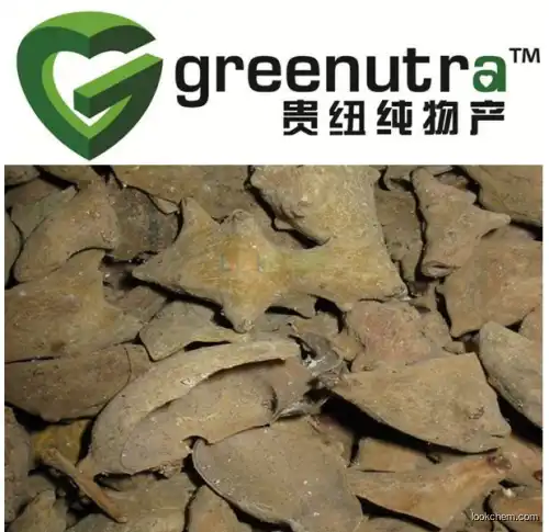 Galla Chinensis extract