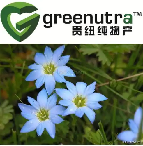 Chinese Gentian Extract