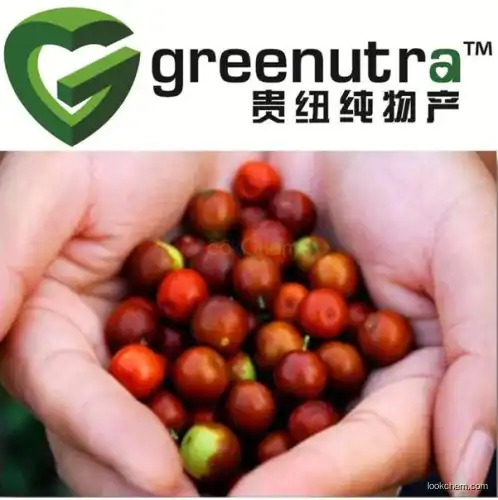 Wild Jujube Extract