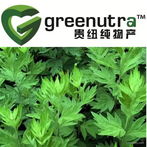 Aiye Leaf Extract/Folium Artemisiae Argyi extract