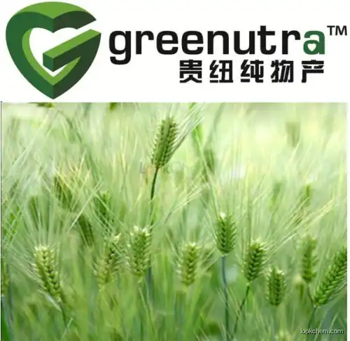 natural Barley Grass Extract,hot selling Barley Grass Extract,GMP Manufacturer Barley Grass Extract