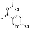 Ethyl 4,6-dichloropyridine-3-carboxylate