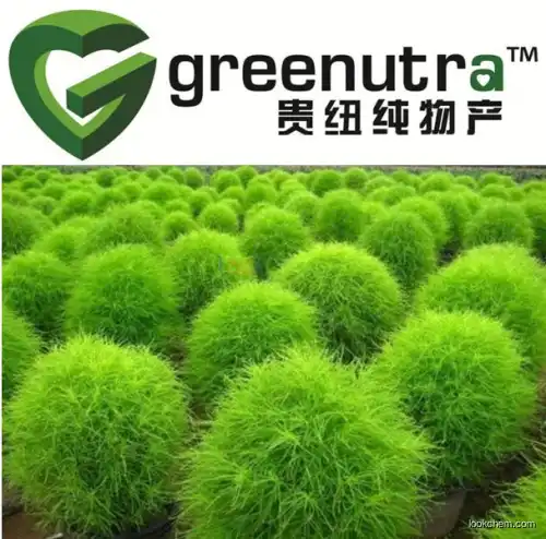GMP manufacture Belvedere fruit extract