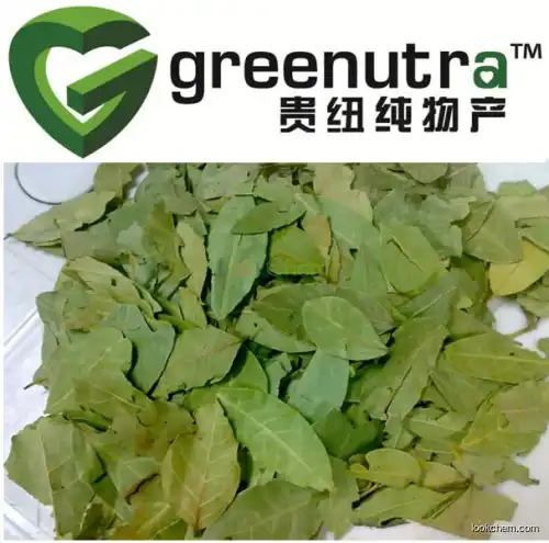 GMP manufacture Buchu Leaf Extract