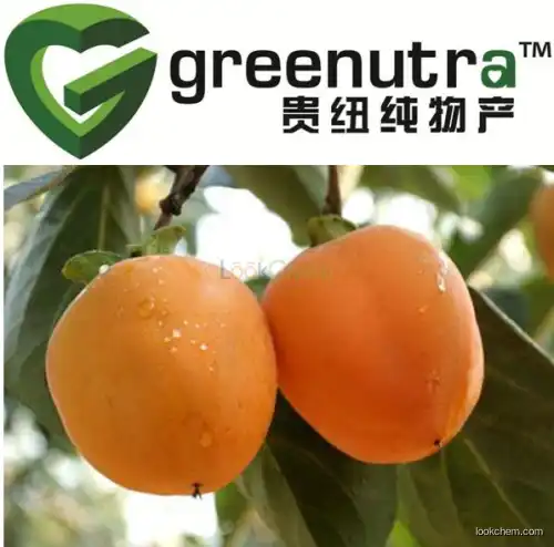 Persimmon Leaf Extract