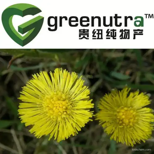 High quality Coltsfoot Leaf Extract