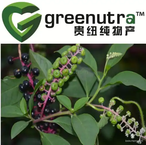 Phytolacca Acinosa Extract Powder