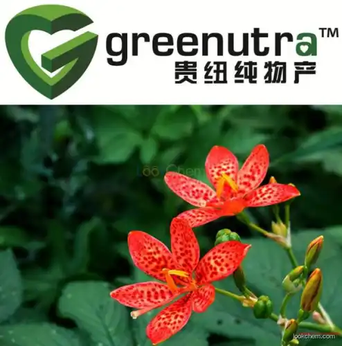 GMP Manufacturer Blackberrylily Rhizome Extract