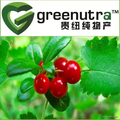 bearberry extract