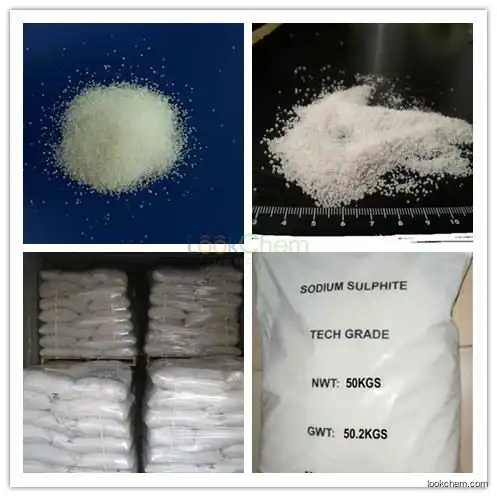 Sodium bisulfate CAS NO.7681-38-1