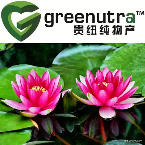 Pygmy Waterlily Extract