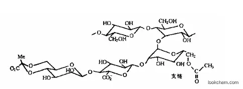 Food grade Xanthan Gum Manufacturer