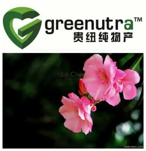Nerium odorum extract/ Oleander extract/sweet-scented oleander extract