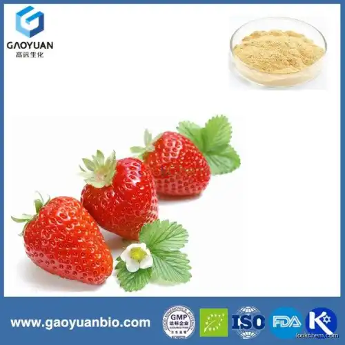 strawberry fruit powder factory supply