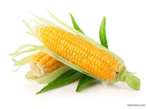 High Quality Pure Natural Phytosterol Powder for Lowering Cholesterol