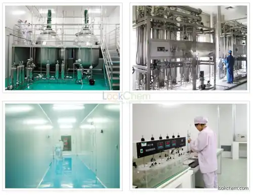 Factory outlets High Purity and best price hyaluronic acid/Sodium hyaluronate  Food Grade