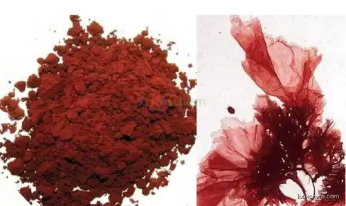 Astaxanthin 1% 1.5% 3.0% 5.0% Haematococcus Pluvialis Extract