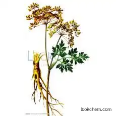 Natural China black cohosh extract triterpene glycosides