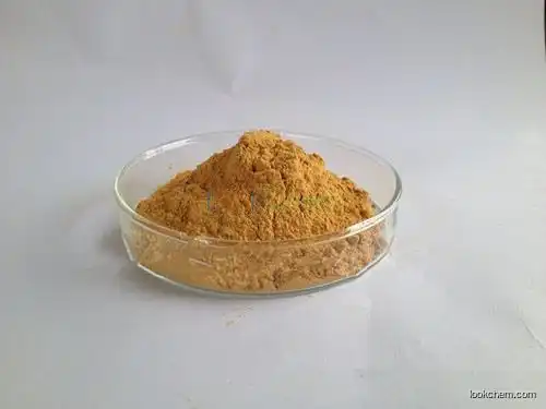 Bolin Supply Hot Sale Natural Milk Thistle Extract Silymarin 80%