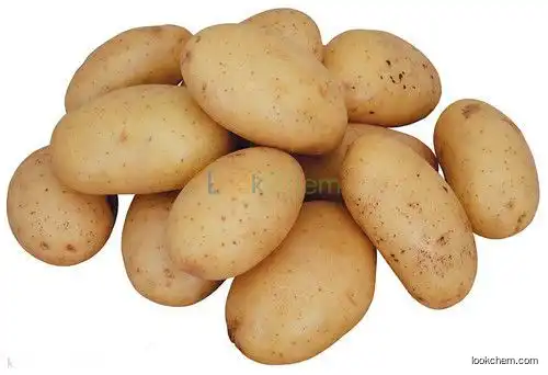 Natural Potato Extract, Potato Protein Powder