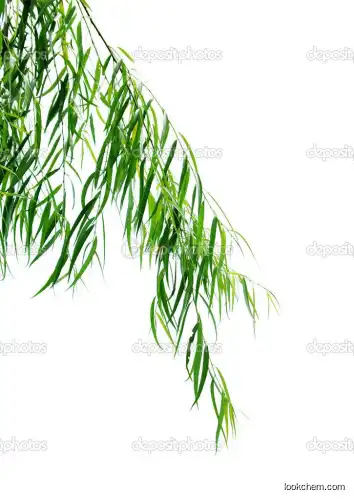 Willow Bark Extract  Salicin,White Willow Bark Plant Extract