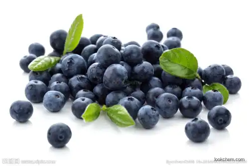 Elderberry Extract / Sambucus Nigra L. ,Elderberry Extract 20% Anthocyanidin