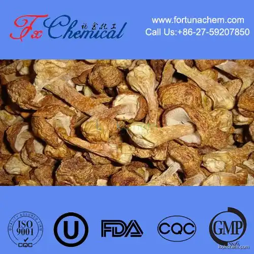Pure natural high quality Agaricus blazei Extract/Agaricus blazei Mushroom Extract in China