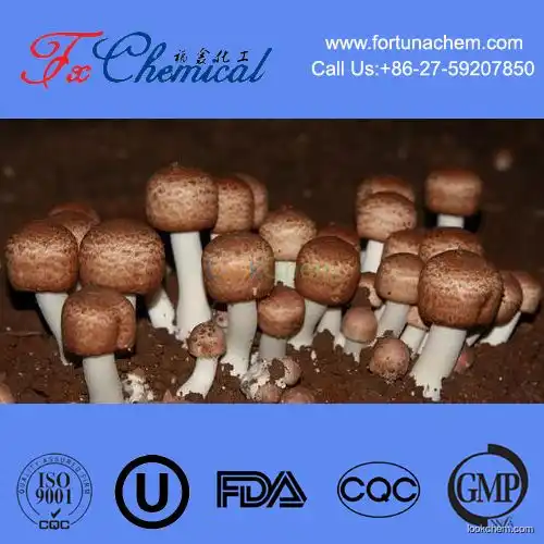 Pure natural high quality Agaricus blazei Extract/Agaricus blazei Mushroom Extract in China