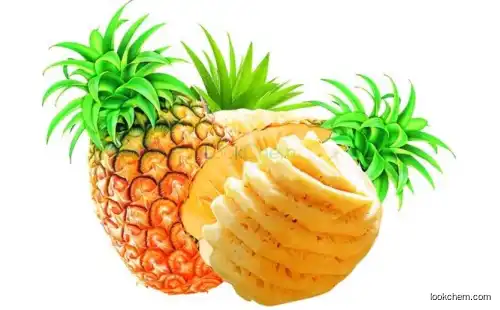 Bromelain Pineapple Extract Bromelain Extract Powder/Bromelain