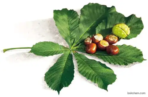 Natural Horse Chestnut Extract Aescin, Horse Chestnut P. E.