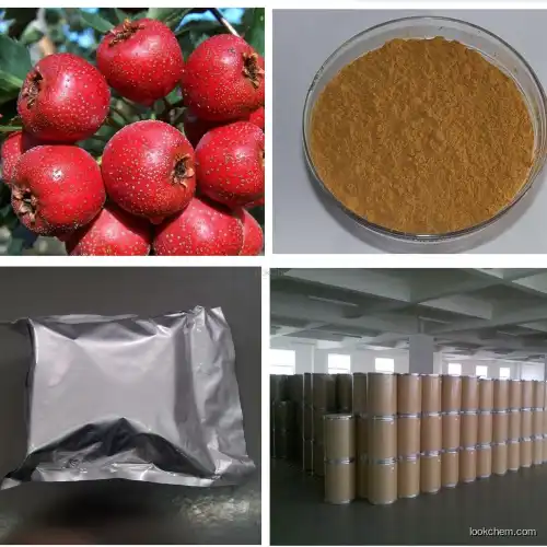 Supply high quality factory price of Hawthom fruit extract