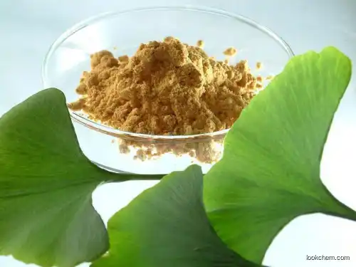 Ginkgo biloba extract