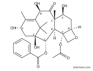 10-deacetylbacctin Ⅲ(10-DAB)