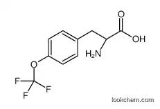 (2R)-2-AMINO-3-[4-(TRIFLUOROMETHOXY)PHENYL]PROPANOIC ACID