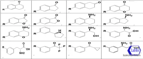 (1R)-1-(2-CHLOROPHENYL)PENTAN-1-AMINE