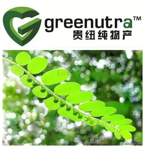 high quality factory production 10:1Phyllanthus urinaria L.Extract