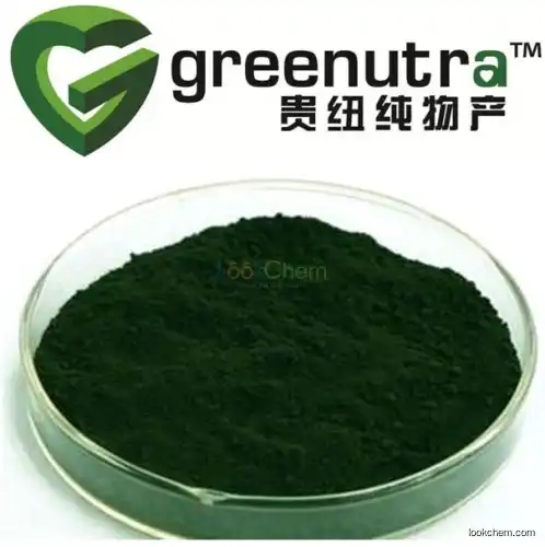 High quality chlorophyll powder