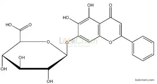 Baical Skullcap Root Extract Baicalin Extract 80% 85%