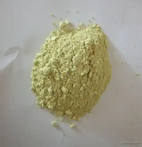 Baical Skullcap Root Extract Baicalin Extract 80% 85%