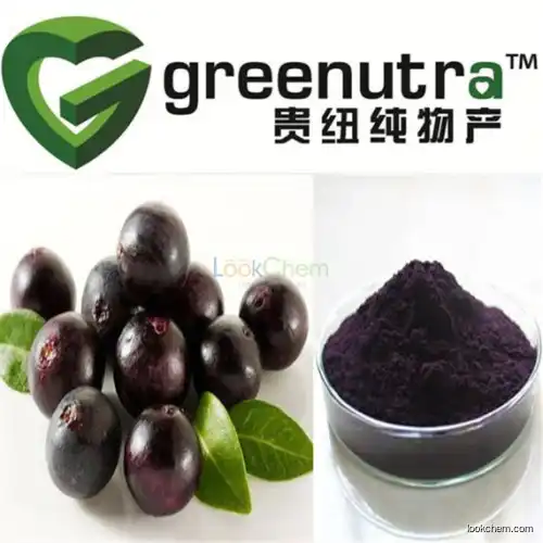 pure natural acai berry extract powder
