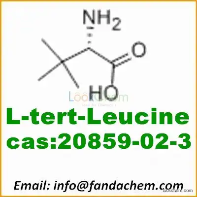 Top quality of L-tert-leucine Powder,CAS：20859-02-3 from Fandachem