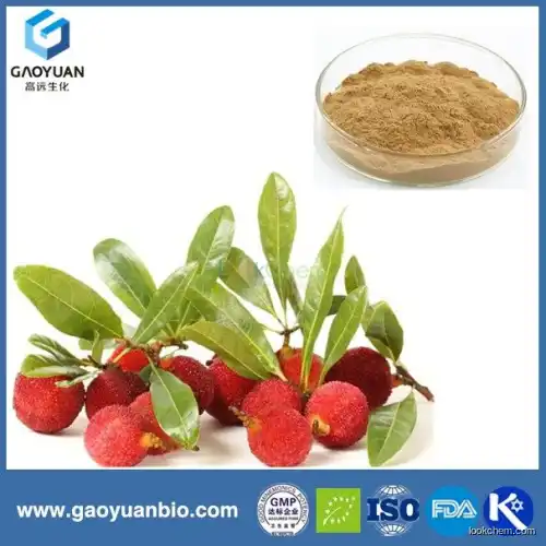 gaoyuan factory supply pure natural bayberry extract