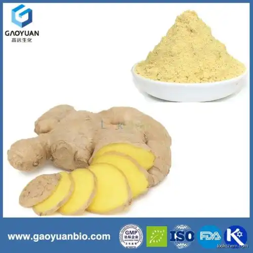 best quality products ginger extract powder from xi'an gaoyuan factory